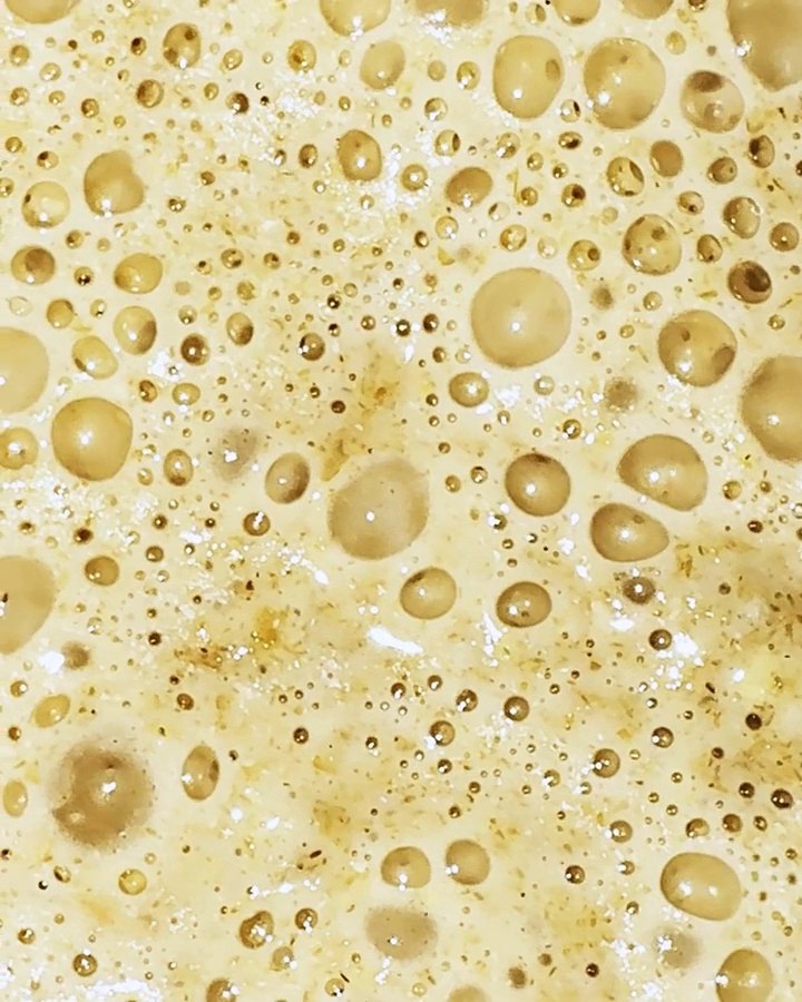 ÂLF up close: the living culture full of bubbles